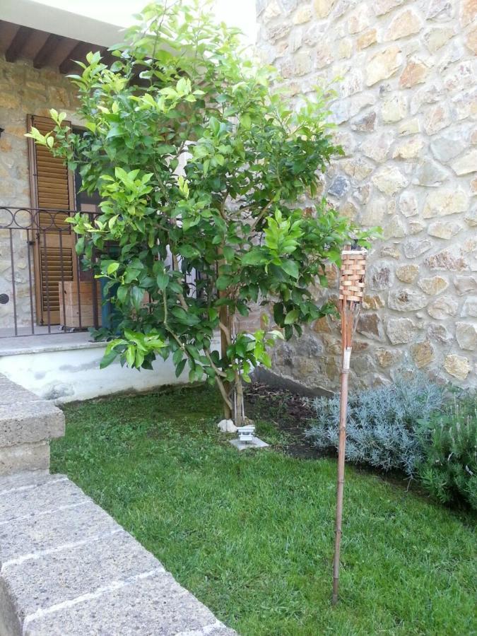 Il Poggio Da Leo Daire Capanne Dış mekan fotoğraf
